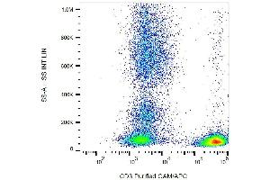 Surface staining of human buffy coat cells with anti-CD3 (TB3) purified / GAM-APC. (CD3 antibody)