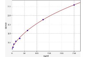 NRIP1 ELISA Kit