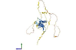 AlphaFold protein structure predicition of Human Recombinant FOXE3 Protein, UniprotID Q13461