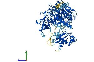 AlphaFold protein structure predicition of Mouse Recombinant Acsl5 Protein, UniprotID Q8JZR0 (ACSL5 Protein (AA 1-683) (His tag))