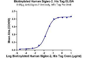 CD22 Molecule (CD22) (AA 20-687) protein (His-Avi Tag,Biotin)