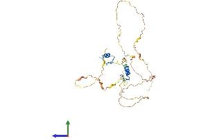 AlphaFold protein structure predicition of Human Recombinant ZNF488 Protein, UniprotID Q96MN9