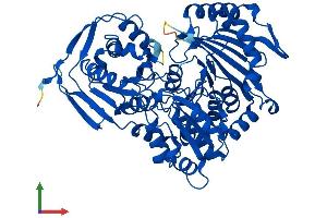 Protein Structure (PS) image for Phosphoglucomutase 5 (PGM5) (AA 1-567) protein (His tag) (ABIN7550770)