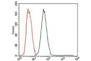 Flow cytometric analysis of MCF-7 cells using MELK mouse mAb (green) and negative control (red). (MELK antibody  (AA 637-651))