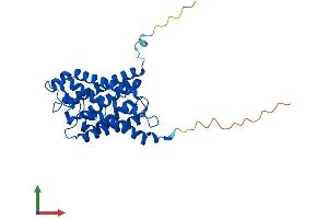 AlphaFold protein structure predicition of Human Recombinant AQP9 Protein, UniprotID O43315 (AQP9 Protein (AA 1-295) (His tag))