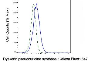 Validation of Dyskerin pseudouridine synthase 1 knockdown using flow cytometry. (Recombinant DKC1 antibody)