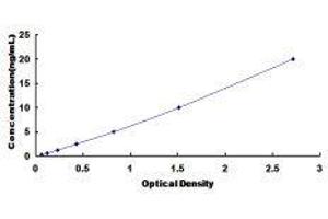 Sulfite Oxidase (SUOX) ELISA Kit