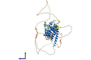 AlphaFold protein structure predicition of Human Recombinant TESK2 Protein, UniprotID Q96S53 (TESK2 Protein (AA 1-571) (His tag))