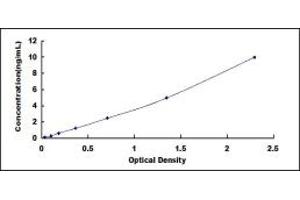 Typical standard curve (GAP43 ELISA Kit)