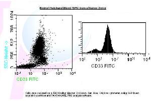 Image no. 1 for anti-CD33 (CD33) antibody (FITC) (ABIN1112117) (CD33 antibody  (FITC))