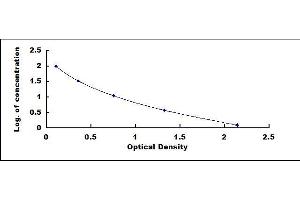 Fibroblast Growth Factor 13 (FGF13) ELISA Kit