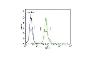 DFFB Antibody (N-term) (ABIN653798 and ABIN2843079) flow cytometric analysis of 293 cells (right histogram) compared to a negative control cell (left histogram).