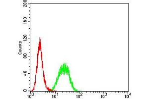 Flow cytometric analysis of Hela cells using BCL2L10 mouse mAb (green) and negative control (red). (BCL2L10 antibody  (AA 31-186))