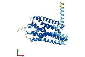 AlphaFold protein structure predicition of Human Recombinant OR4C15 Protein, UniprotID Q8NGM1 (OR4C15 Protein (AA 1-316) (His tag))