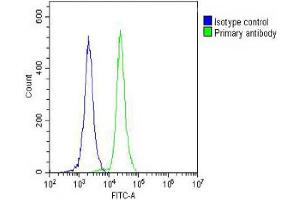 Overlay histogram showing HL-60 cells stained with C (green line). (PLA2G7 antibody  (AA 200-228))