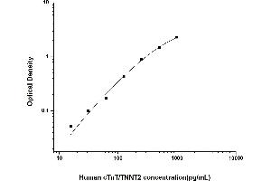 Cardiac Troponin T (cTnT) ELISA Kit