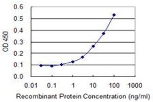 Detection limit for recombinant GST tagged BNIP3L is 0. (BNIP3L/NIX antibody  (AA 43-130))