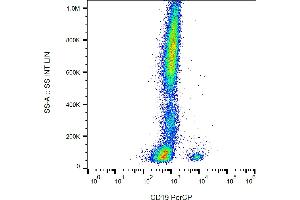 Flow cytometry analysis (surface staining) of human peripheral blood cells with anti-human CD19 (LT19) PerCP. (CD19 antibody  (PerCP))