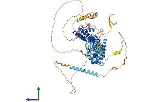 AlphaFold protein structure predicition of Human Recombinant CNGB3 Protein, UniprotID Q9NQW8