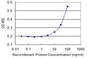 Detection limit for recombinant GST tagged CRMP1 is 3 ng/ml as a capture antibody. (CRMP1 antibody  (AA 221-310))