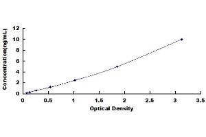 Typical Standard Curve (FKBP5 ELISA Kit)