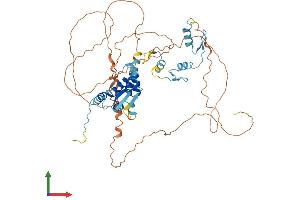 AlphaFold protein structure predicition of Human Recombinant ZBTB34 Protein, UniprotID Q8NCN2