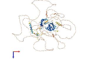 AlphaFold protein structure predicition of Mouse Recombinant Stox1 Protein, UniprotID B2RQL2