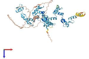 AlphaFold protein structure predicition of Human Recombinant ZNF354C Protein, UniprotID Q86Y25