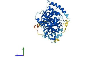 Protein Structure (PS) image for UDP-GlcNAc:betaGal beta-1,3-N-Acetylglucosaminyltransferase 1 (B3GNT1) (AA 1-415) protein (His tag) (ABIN7552507)