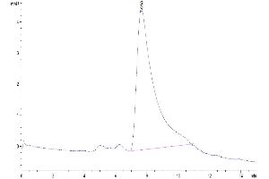 The purity of Human B7-H3 is greater than 95 % as determined by SEC-HPLC. (CD276 Protein (CD276) (AA 29-245) (His tag))