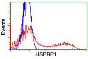 HEK293T cells transfected with either RC201814 overexpress plasmid (Red) or empty vector control plasmid (Blue) were immunostained by anti-HSPBP1 antibody (ABIN2454980), and then analyzed by flow cytometry. (HSPBP1 antibody)