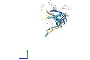 AlphaFold protein structure predicition of Human Recombinant KIF4A Protein, UniprotID O95239 (KIF4A Protein (AA 1-1232) (His tag))