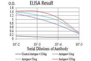 Fig. (AKT1 antibody  (AA 1-150))