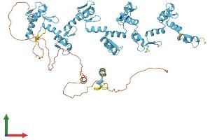 AlphaFold protein structure predicition of Human Recombinant ZNF442 Protein, UniprotID Q9H7R0