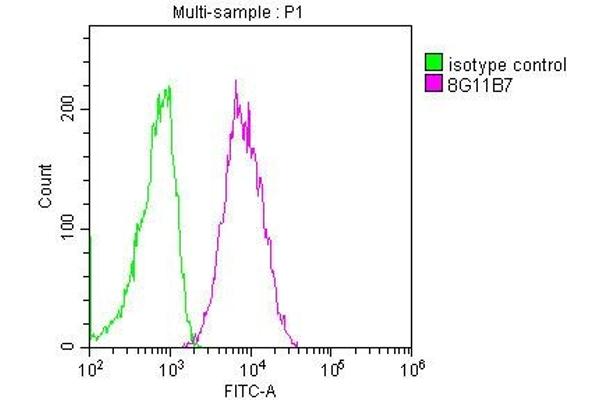 CD19 antibody  (AA 20-291)