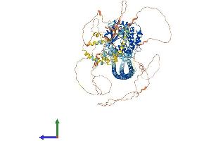 Protein Structure (PS) image for TAO Kinase 2 (TAOK2) (AA 1-1240) protein (His tag) (ABIN7564168)