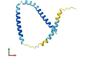 AlphaFold protein structure predicition of Mouse Recombinant Kcne2 Protein, UniprotID Q9D808