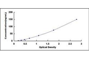 AXL Receptor tyrosine Kinase (AXL) ELISA Kit
