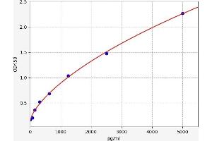 DLL4 ELISA Kit