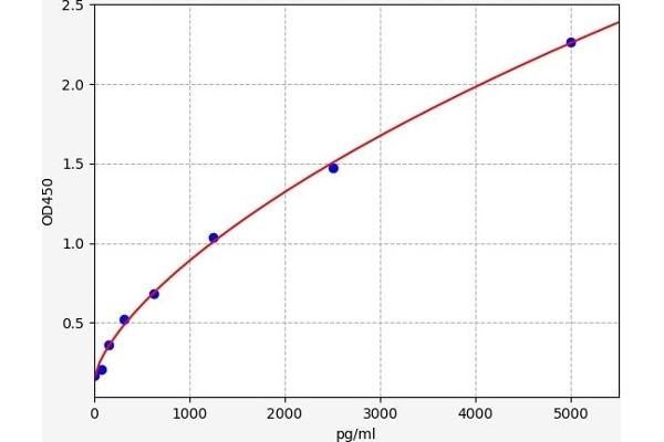 DLL4 ELISA Kit