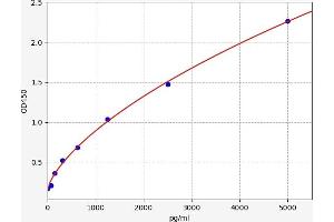 Typical standard curve (DLL4 ELISA Kit)