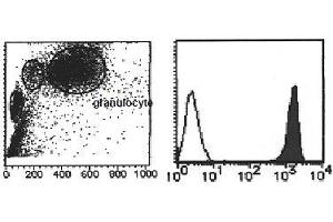 Flow Cytometry (FACS) image for anti-Vanin 2 (VNN2) antibody (PE) (ABIN1109469) (VNN2 antibody  (PE))