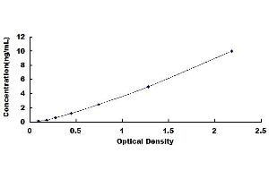 Typical standard curve