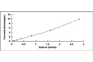 Typical standard curve (LRP2 ELISA Kit)