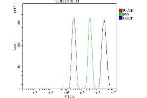 Flow Cytometry analysis of SiHa cells using anti-FOXN1 antibody (ABIN7603147). (FOXN1 antibody  (N-Term))