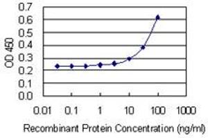Detection limit for recombinant GST tagged CRYBB2 is 3 ng/ml as a capture antibody. (CRYbB2 antibody  (AA 1-205))