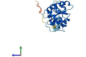 Protein Structure (PS) image for Chromosome 19 Open Reading Frame 40 (C19ORF40) (AA 1-215) protein (His tag) (ABIN7547503)