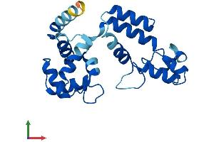 AlphaFold protein structure predicition of Human Recombinant CAPSL Protein, UniprotID Q8WWF8
