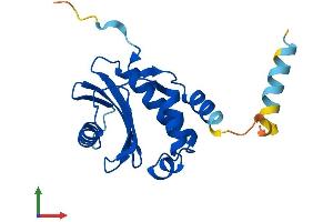 AlphaFold protein structure predicition of Mouse Recombinant Copz1 Protein, UniprotID P61924