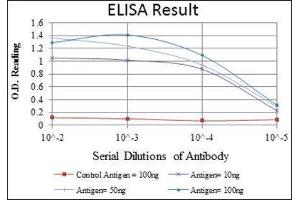 ELISA image for anti-Cyclin D3 (CCND3) antibody (ABIN1845423) (Cyclin D3 antibody)